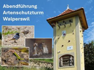 bild turm